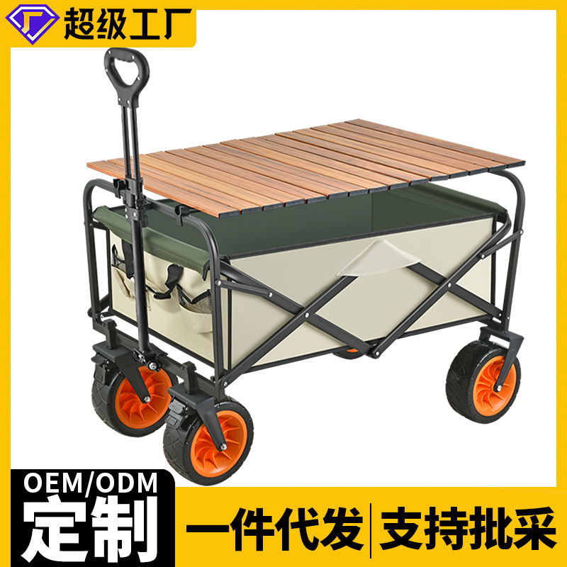 北京天力源沼气火炬高能点火器